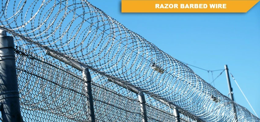 Razor barbed wire fence Razor barbed wire fence